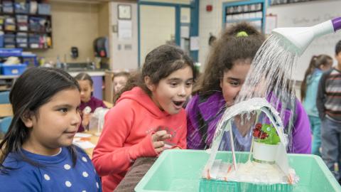 three students watch as an adult pours water from a watering can onto the animal shelter they created to keep a toy animal dry. One girl has her fingers crossed as the water hits the shelter.