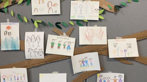 Eleven small crayon drawings of families are taped to a paper tree on a wall.